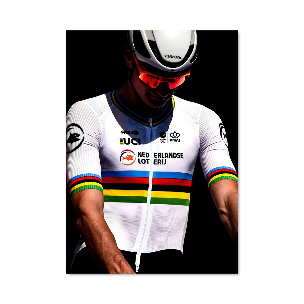 Poster Mathieu van poel